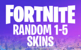 1-5 Skins Random (PSN, Xbox, PC, Nintendo)