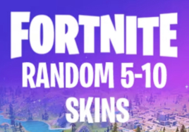 5-10 Skins Random (PSN, Xbox, PC, Nintendo)