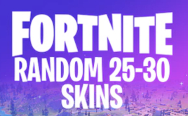 25-30 Skins Random (PSN, Xbox, PC, Nintendo)